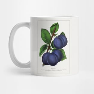 Niagara Plum Lithograph (1900) Mug